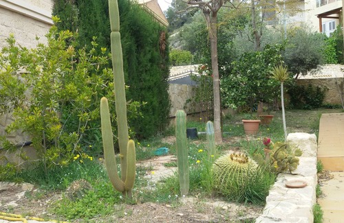Faro de Cullera Villa | Chalet en playa, ideal para familias.