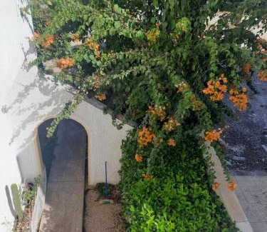 Petaloudes Casa | Villa Bianca
