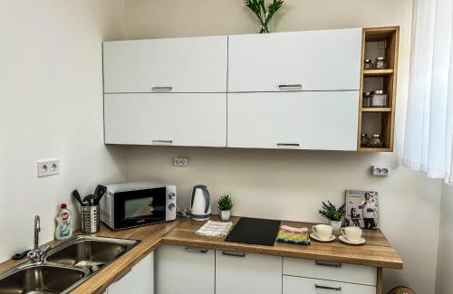 Szekszard Apartamento | Villa Blue City Apartman