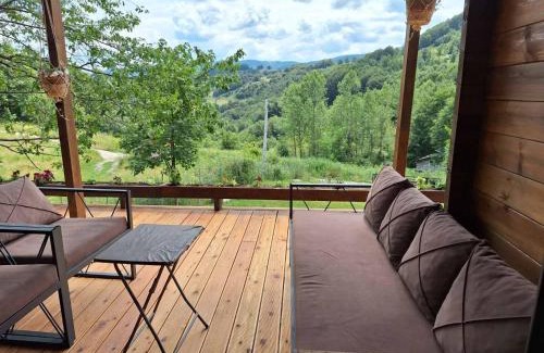 Pleshinë Villa | Villa Bona