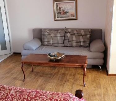 Zlatibor Apartamento | Villa Bozovic