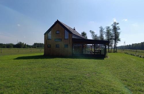 Tluszcz Villa | Villa Brzezinów