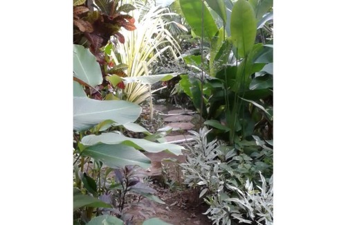 Sukasada Villa | Villa Bukit Lovina 2bedrooms 2 bathrooms+pool