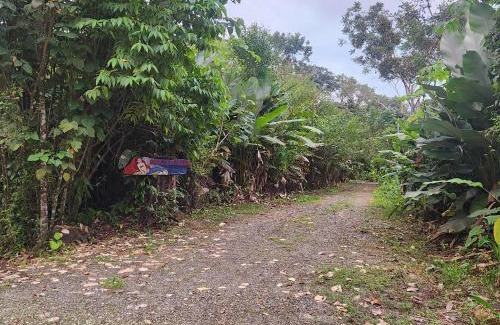 Puerto Jimenez Casa | Villa Casa Sirena