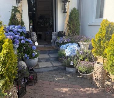 Mielno Apartamento | Villa Celine