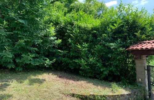 Porciano Apartamento | Villa Cira