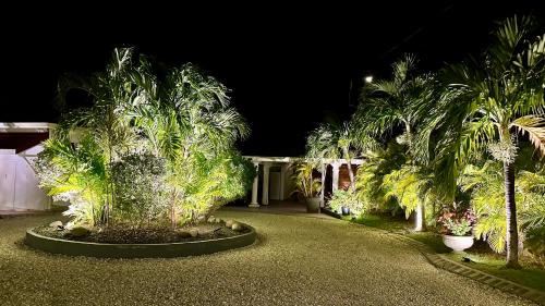 Sainte-Anne Villa | VILLA COCODY