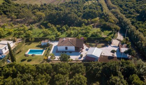 New Golden Mile Villa | Villa con piscina cerca de la playa