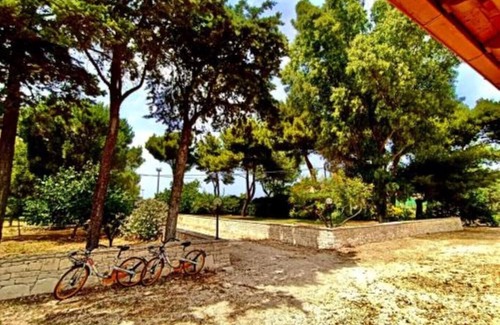 Municipio 1 Villa | Villa Costanza, Comfort Country House CIN: IT072006C200062171