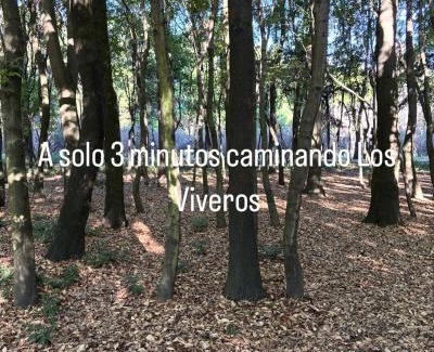 Santa Catarina Cama Y Desayuno | Villa Coyoacan