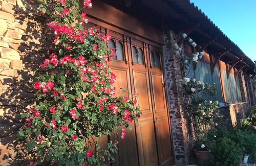 Gonfaron Villa | VILLA DALI