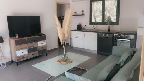 Barbaggio Casa | Villa De Charme T3 Saint Florent
