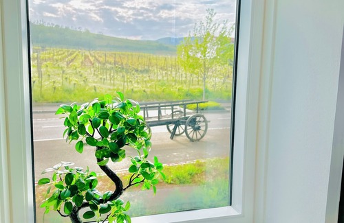 Bennwihr Villa | Villa de Rêve au Cœur du Vignoble Dalsace