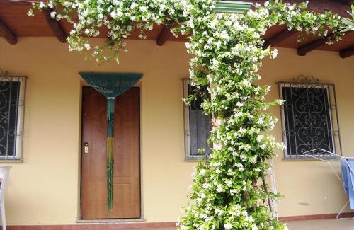 Orosei Casa | Villa degli Ulivi e delle Rose