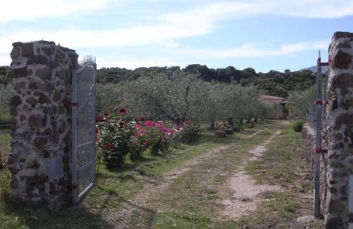 Orosei Casa | Villa degli Ulivi e delle Rose
