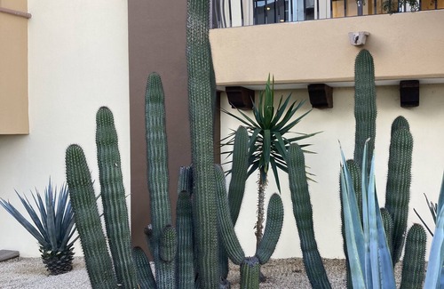 Los Cangrejos II y III Apartamento | Villa del Arco Beach Resort and Spa, Cabo San Lucas Baja California Sur, Mexico