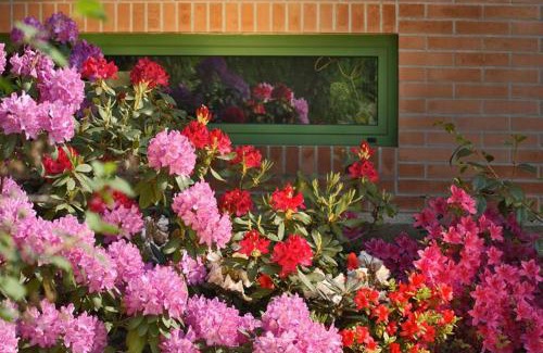 Tavagnacco Cama Y Desayuno | Villa delle Ortensie