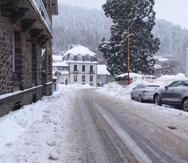 Mont-Dore Apartamento | Villa des Lutins