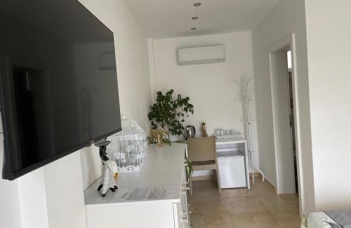 Ohrid Apartamento | Villa Dimo Topal