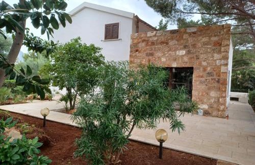 Castelluzzo Casa | Villa Dracena