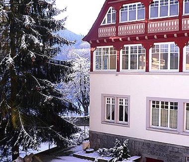 Muhlbach-sur-Munster Apartamento | Villa Du Sendenbach