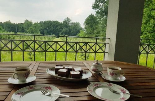 Mladenovac Casa | Villa Eli, Belosavci home with the View