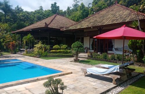 Kayu Putih Villa | Villa Elina
