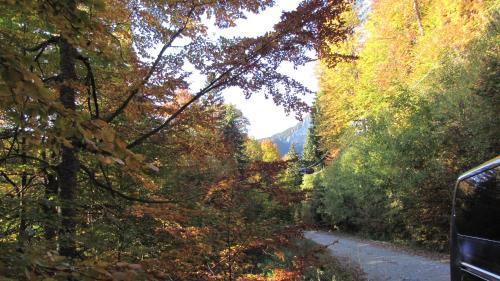 Predeal Cama Y Desayuno | Villa Elitte Predeal