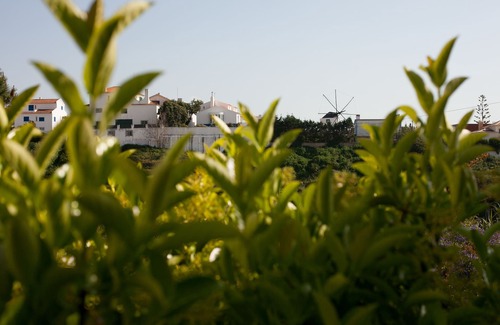 Ericeira Villa | Villa: Ericeira Chill Hill Hostel & Private Rooms - Peach Garden