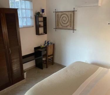 Colonia Centro Cama Y Desayuno | Villa Escondida Guest House Cozumel Downtown