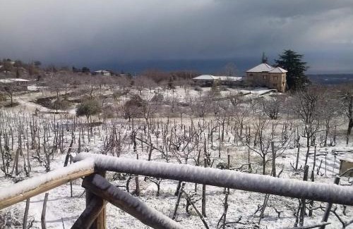 Fornazzo Casa | Villa Etna Masi'