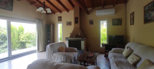 Aleimmatades Villa | Villa Ewa