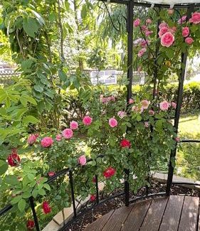 Bad Liebenstein Apartamento | Villa Florentine