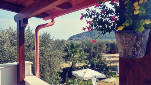 Mattinata Apartamento | Villa Frantoio