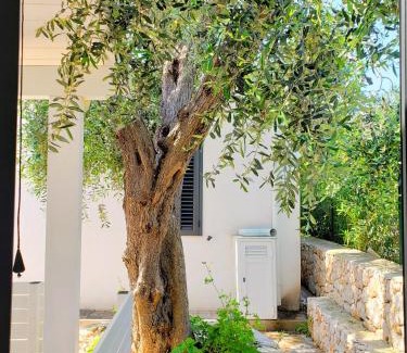 Monte Sant'Angelo Apartamento | Villa Gargano