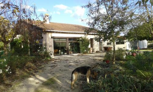 Castelmayran Cama Y Desayuno | Villa Gazounette