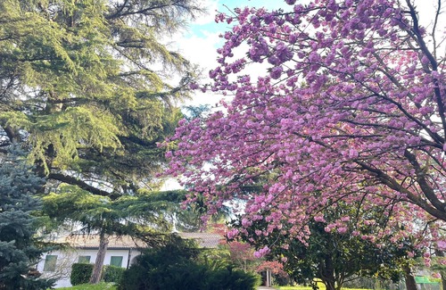 Padova Villa | Villa 'Giacinti' con jardín privado y Wi-Fi