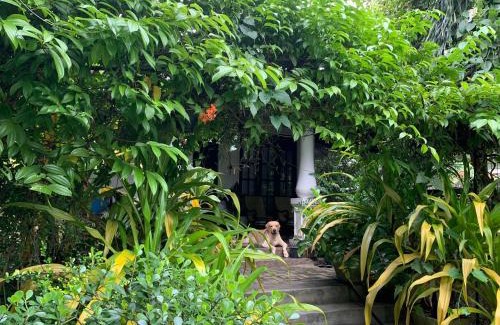 Udugampola Casa | Villa Green