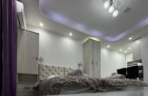 Vrnjacka Banja Apartamento | Villa Harizma