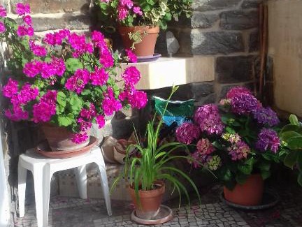 Haie Vigne Cama Y Desayuno | Villa Helianthe