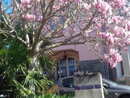 Haie Vigne Cama Y Desayuno | Villa Helianthe