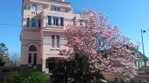 Haie Vigne Cama Y Desayuno | Villa Helianthe