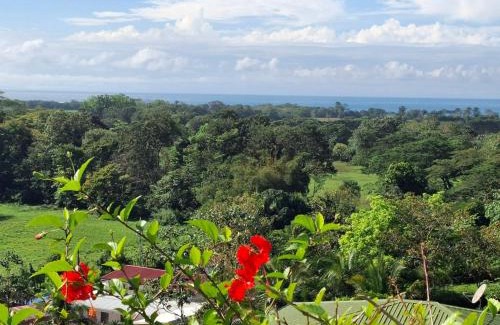 Playa Hermosa Apartamento | Villa Hermosa Claudia - nature and relaxation