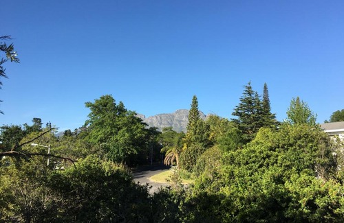 Stellenbosch Casa | Villa Honeysuckle Luxury Villa