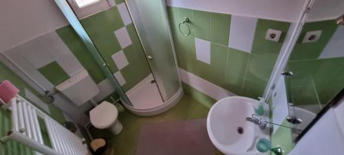 Ceahlau Casa | Villa Ileana