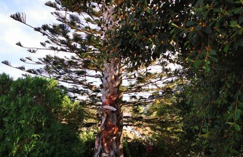 Tingaki Casa | Villa Irene