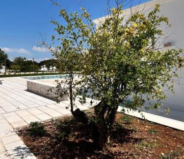 Martina Franca Cama Y Desayuno | Villa Itriò - In the heart of Apulia - B&B - pool - rural experience