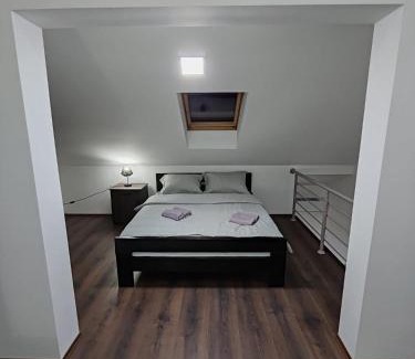 Banja Koviljaca Apartamento | Villa Jelena