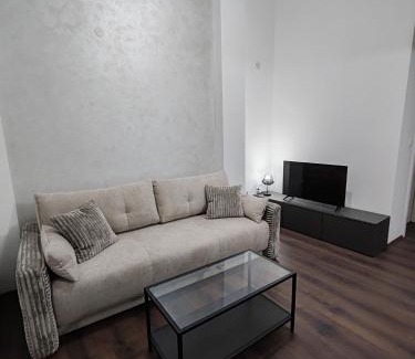 Banja Koviljaca Apartamento | Villa Jelena