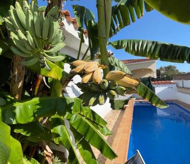 Vinaros Casa | Villa Juani